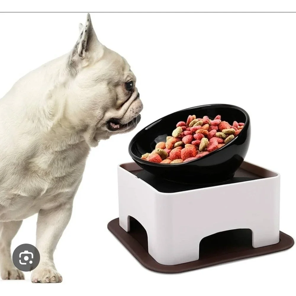 Dog Bowl